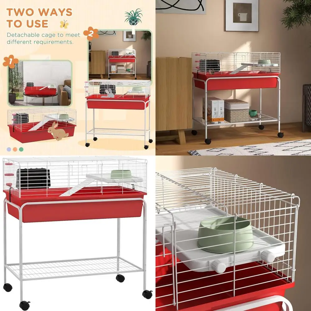 Two-Story Small Ani…