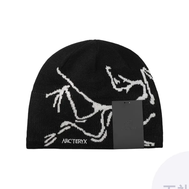 Arc'teryx Polyester Beanies Unisex Multicolor L08023800