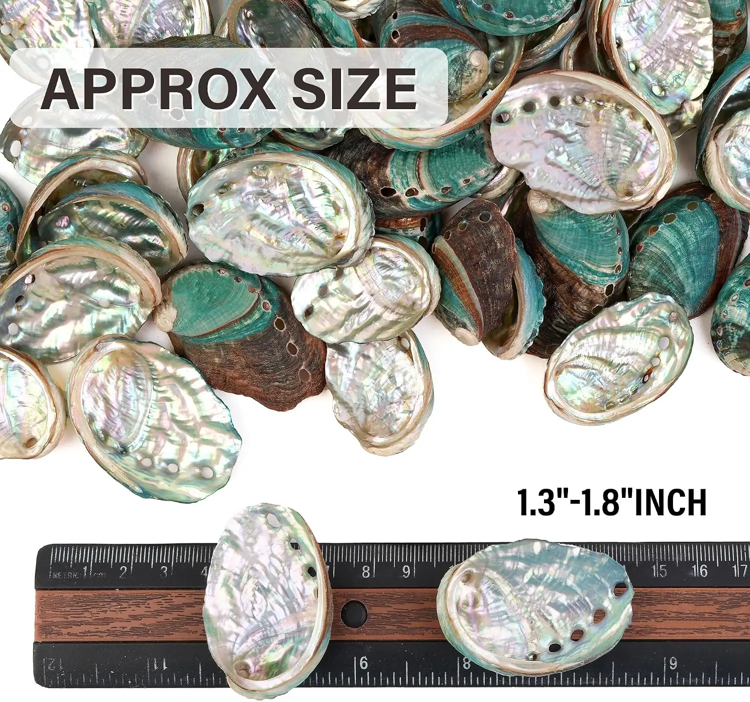 Small Abalone Shell 1.2-1.8 inch, Natural Abalone Shells Colorful Abalone Shell for DIY Crafts, Jewelry Making, Vase Filler,