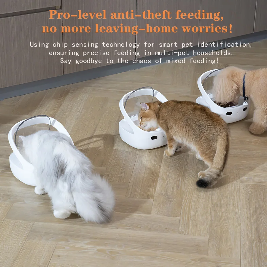 Thumbnail 3 - #20 Latest Smart Dog Feeders Offers