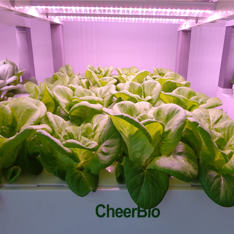 Novo Sistema Inteligente de Cu - Smart Garden Vertical avaliação e preço