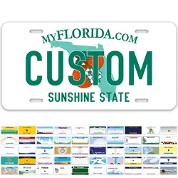 Custom Florida License Plate, Personalized License Plates for Car, 6x12 Inch, Rust-Free Fade Resistant Aluminum, USA Made by My