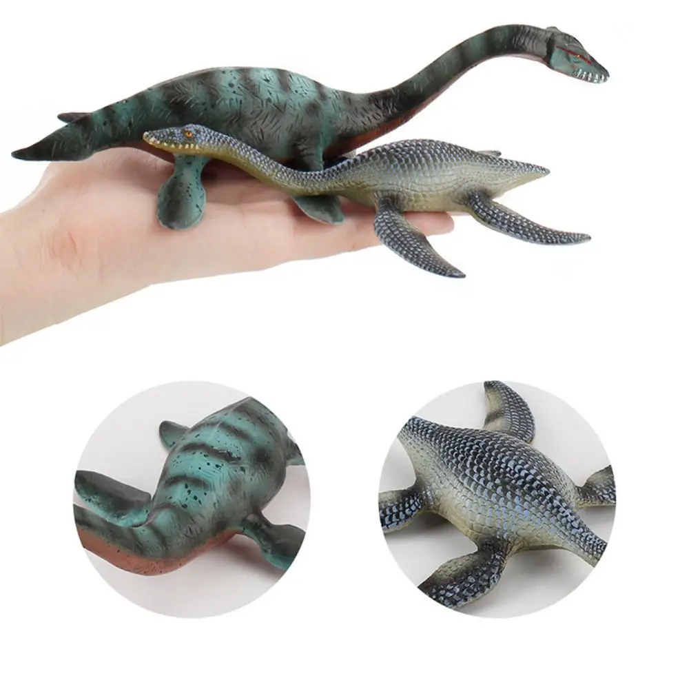 Plesiosaur Prähistorisches biologisches Modell Thalassomedon Kronosaurus Jurassic Ancient Animal Actionfiguren Tiere Modell