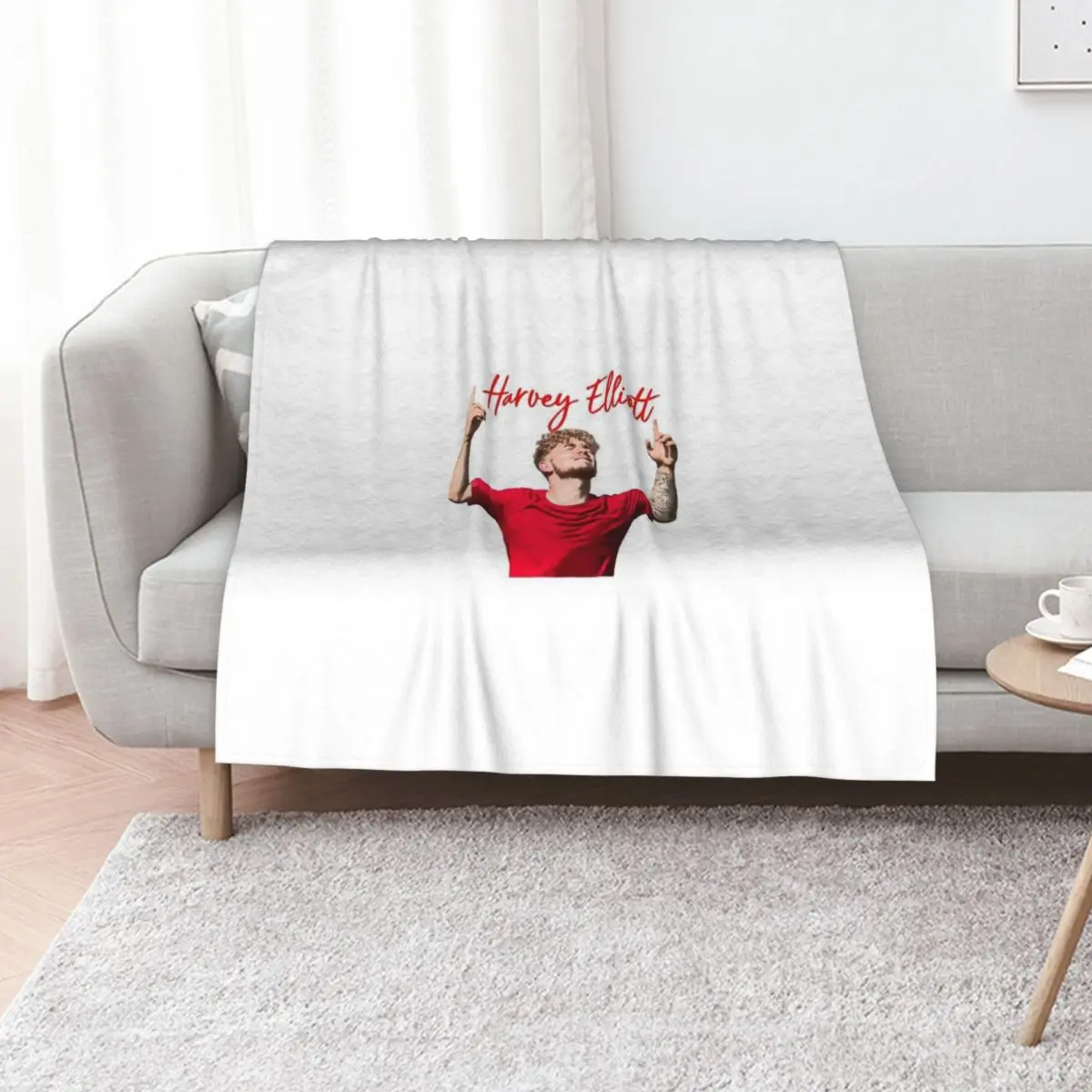 Harvey Elliott Throw Blanket Decorative Sofas Plush Hairy Bed Stuffeds Picnic Blankets