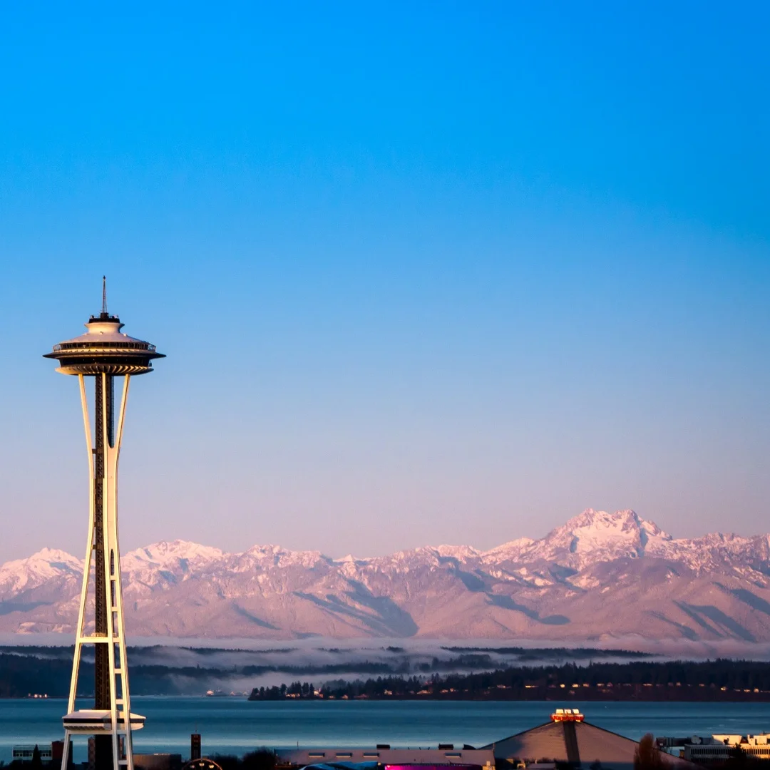 Digital Board Car L…