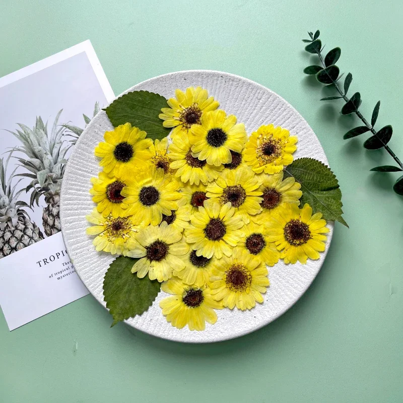 

3-5cm/60pcs,natural sunflower petals pressed tiny flowers wholesale glue dropping dry flower mobile phone case plant specimen