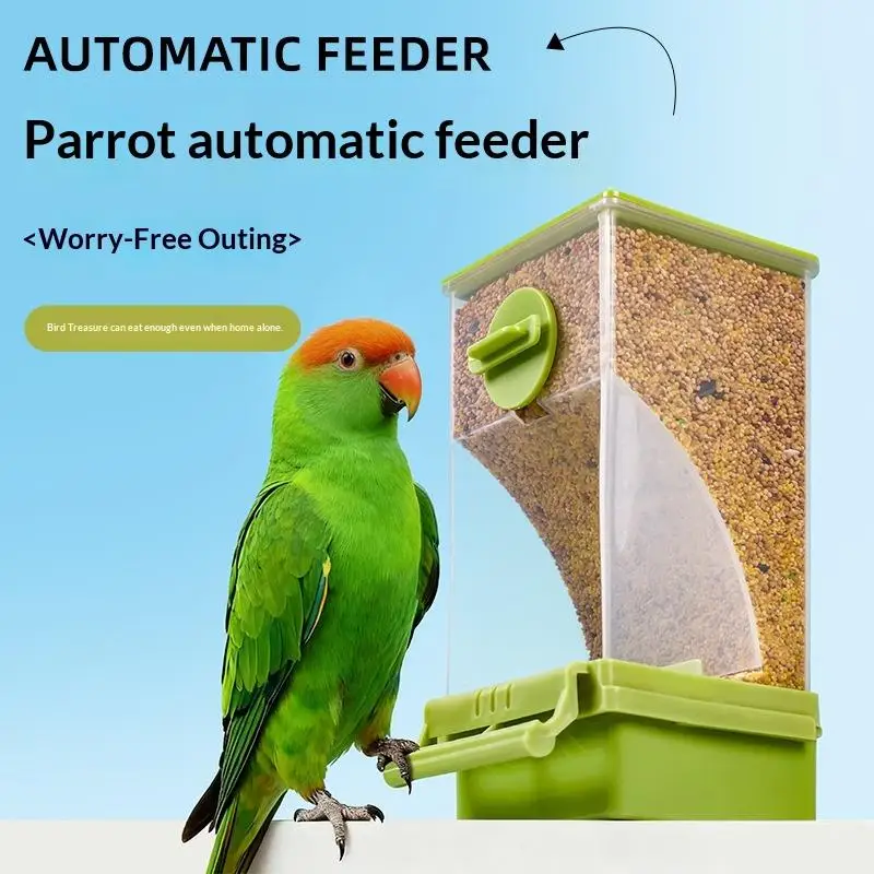 : Automatyczny karmnik dla ptaków