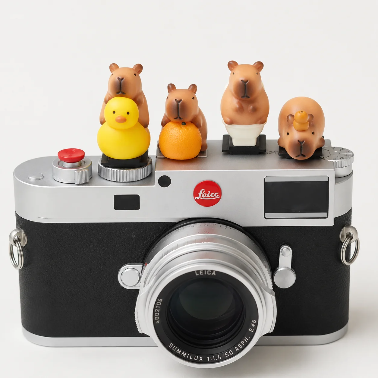 Cute Capybara Hot Shoe Cover for Sony ZV-E10 A7C II Canon R50 Fujifilm X100VI X-T30 II Camera Dust Cap