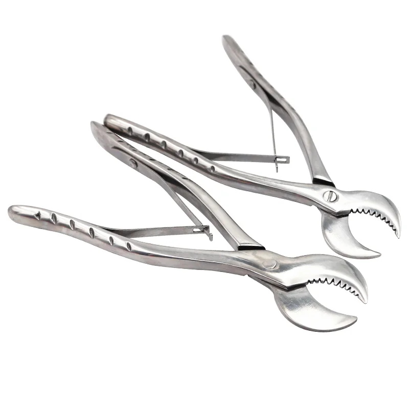 

Dental Plaster Scissors Gypsum Scissors Dentistry Material Plaster Cutter Stainless Steel Dental Lab Equipment