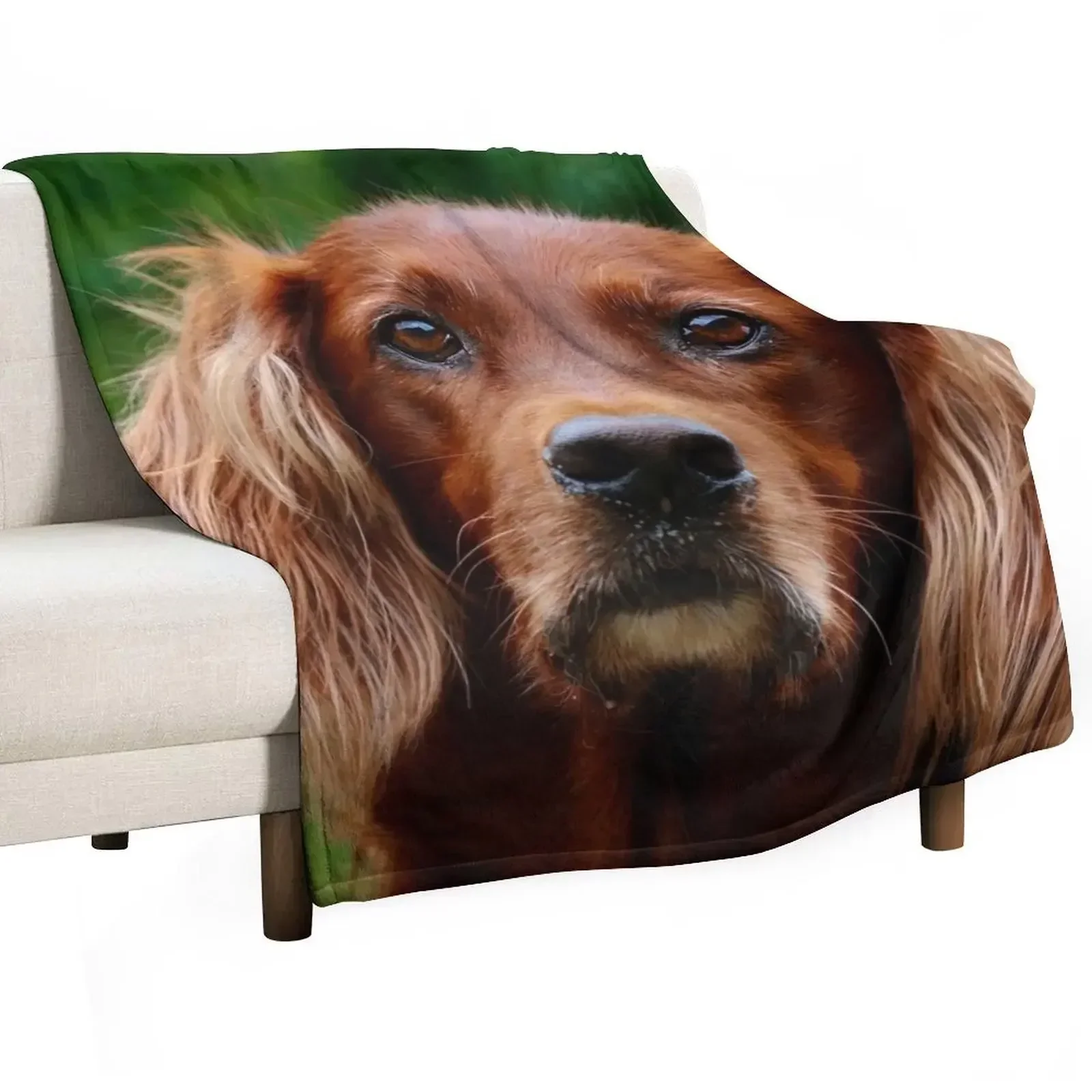 

Irish Setter - do you mean me Throw Blanket christmas decoration Thin Blankets