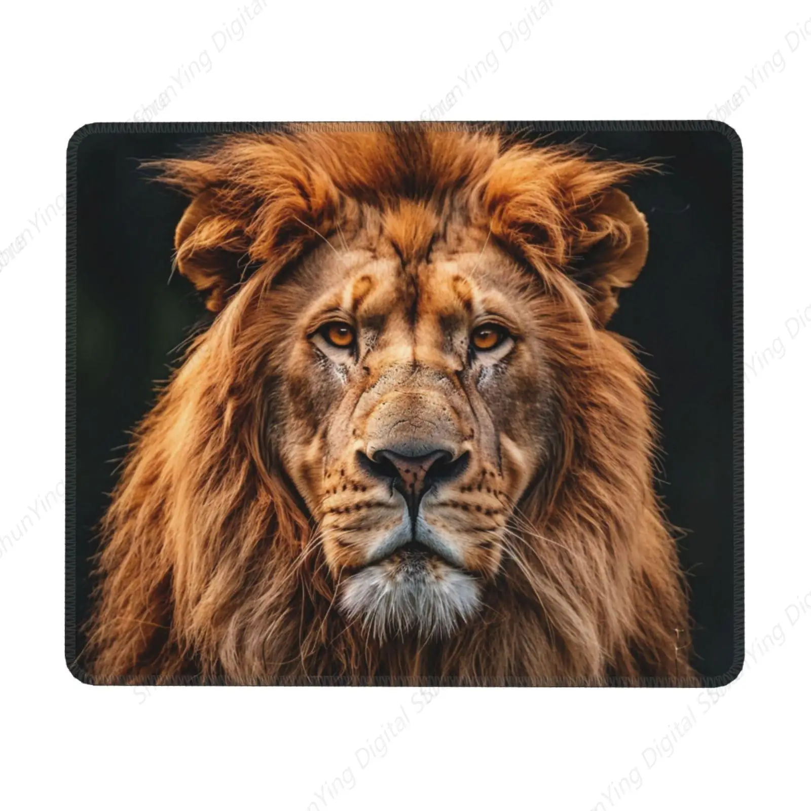 Anti Slip Rubber Mouse Pad African Animal Lion Suitable For Computer Laptop Home Office Mouse Pads 18*22cm