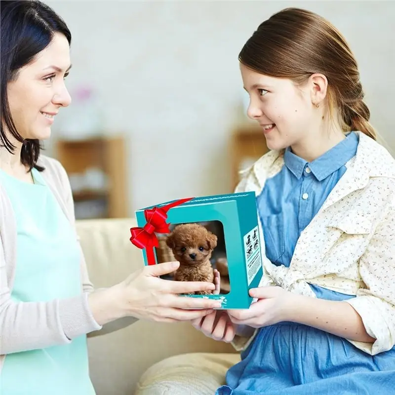 CYGJ-Electric Plush Puppy, White Puppy Doll, Robotic Puppy That Makes Noise, Birthday Gift.