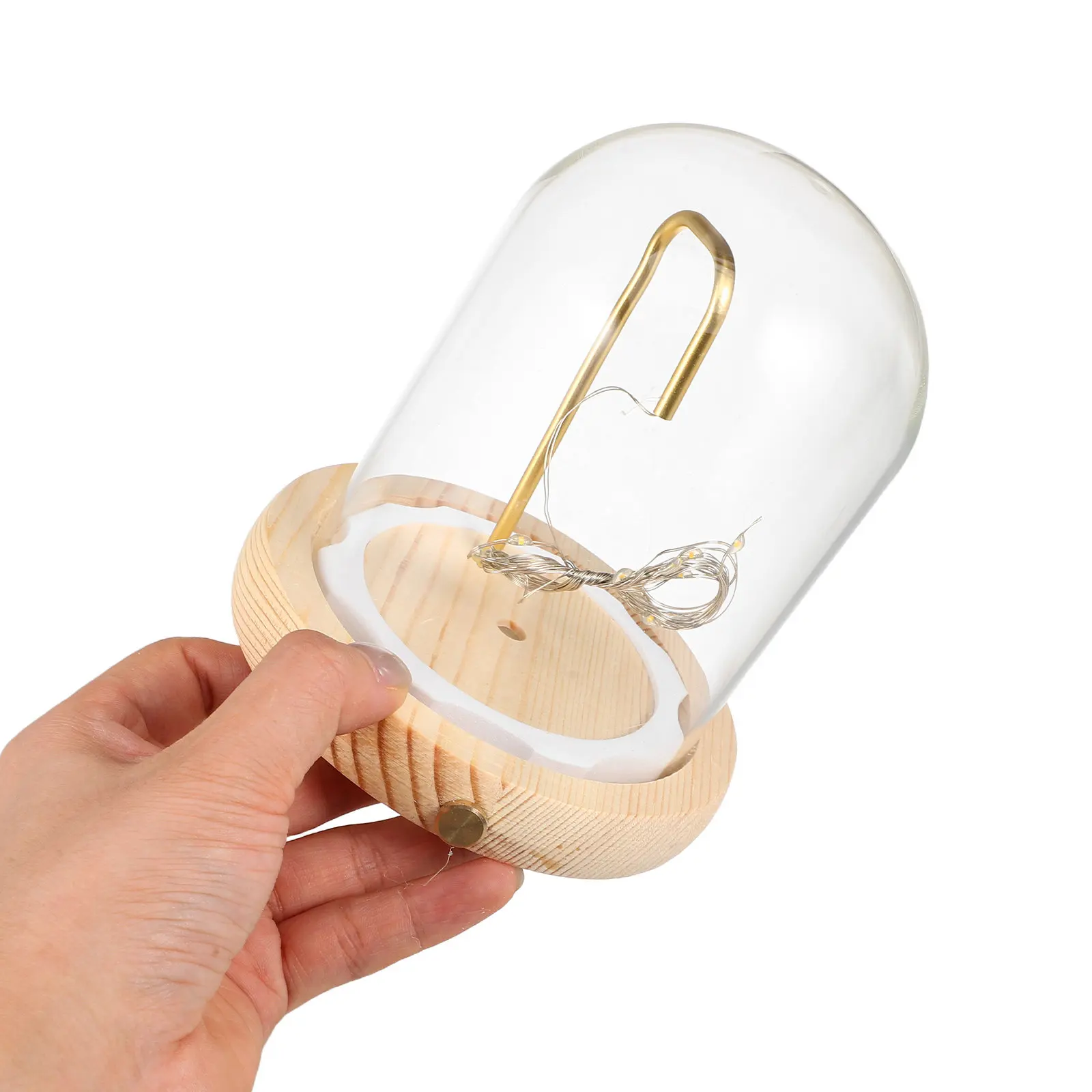 Glass Display Dome Wood Base LED Lighting Clear Cloche for Miniature Display Succulents Keepsakes Snow Globe Decoration