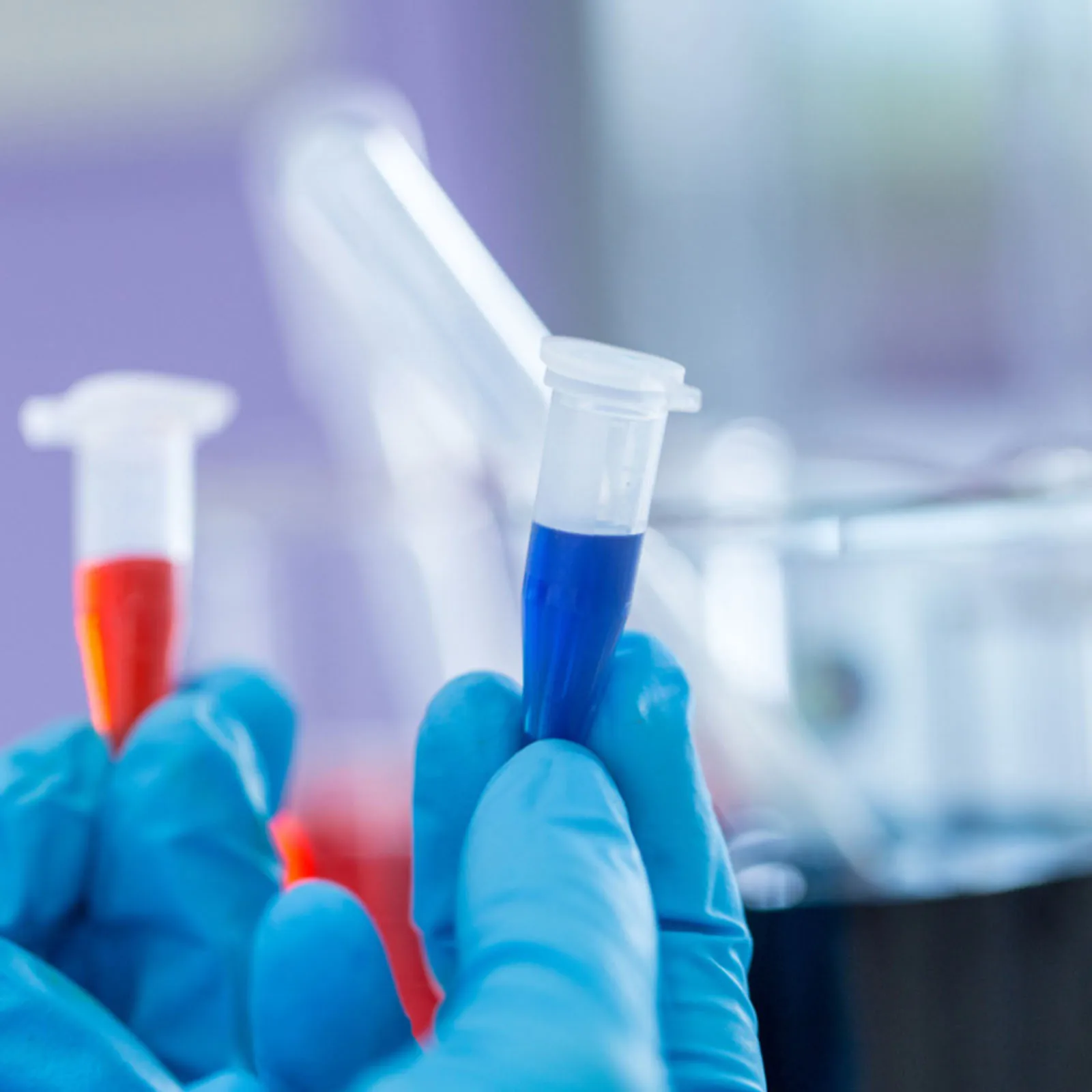 2500 Pcs with Cover Tube Seed Flask Test Tubes Plastic Sample Bottles