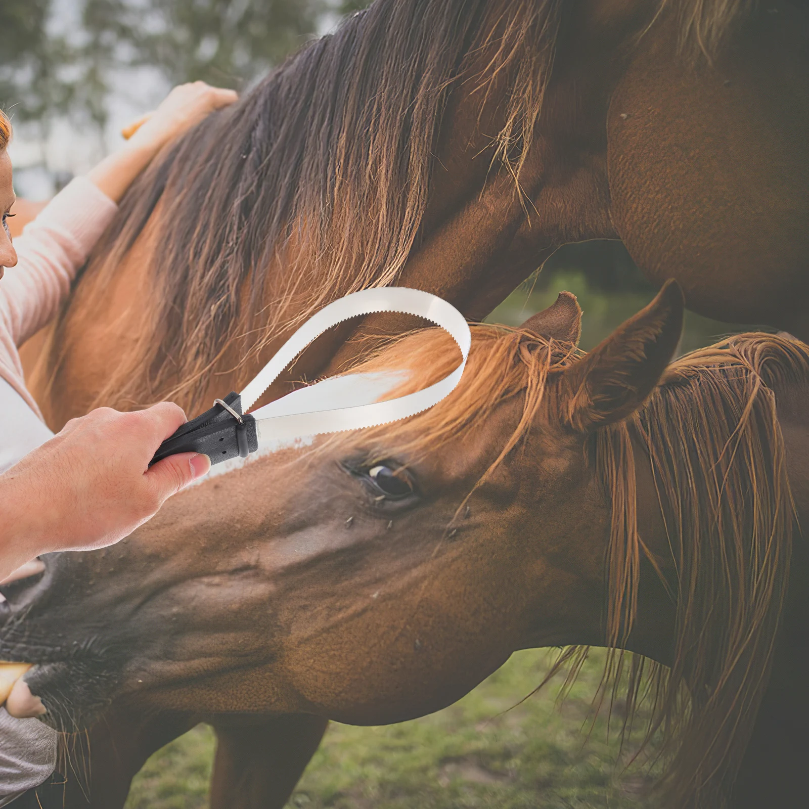 Brosse grattoir en crin de cheval, outils de toilettage en acier inoxydable, brosses pour animaux de compagnie, nettoyage d'équitation, hangar Durable