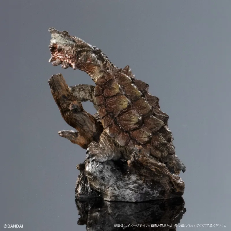 الموسوعة البيولوجية الأصلية من بانداي ألعاب غاشابون سلسلة السلاحف البحرية 01 زخرفة نموذج السلحفاة تشيلوس فيمبرياتا