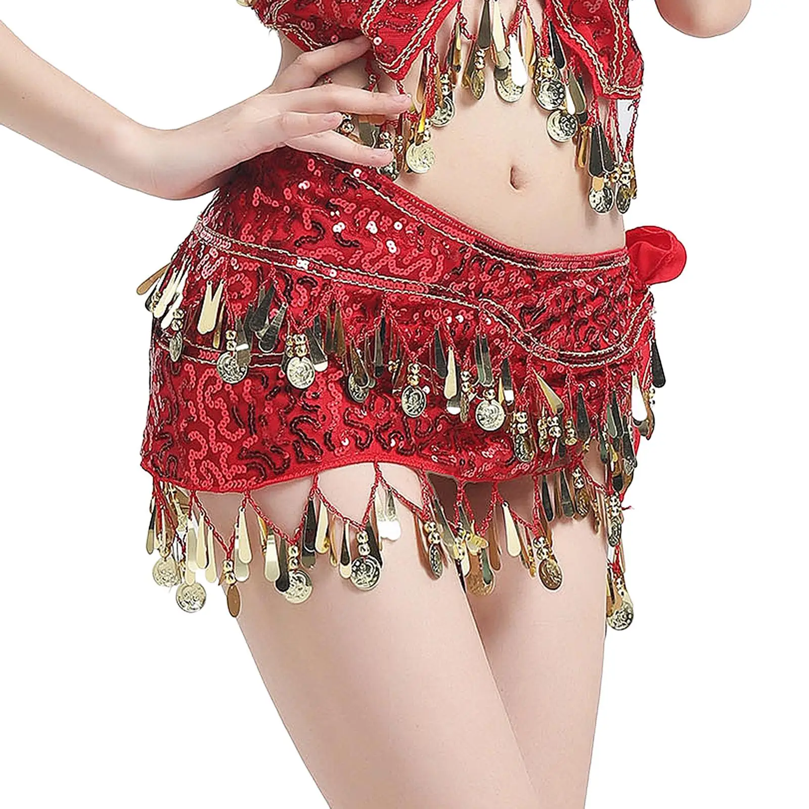 Womens Belly Dance Hip Scarf Chiffon Coin Tassel Wrap Skirt Dance Costume for Oriental Performance Show