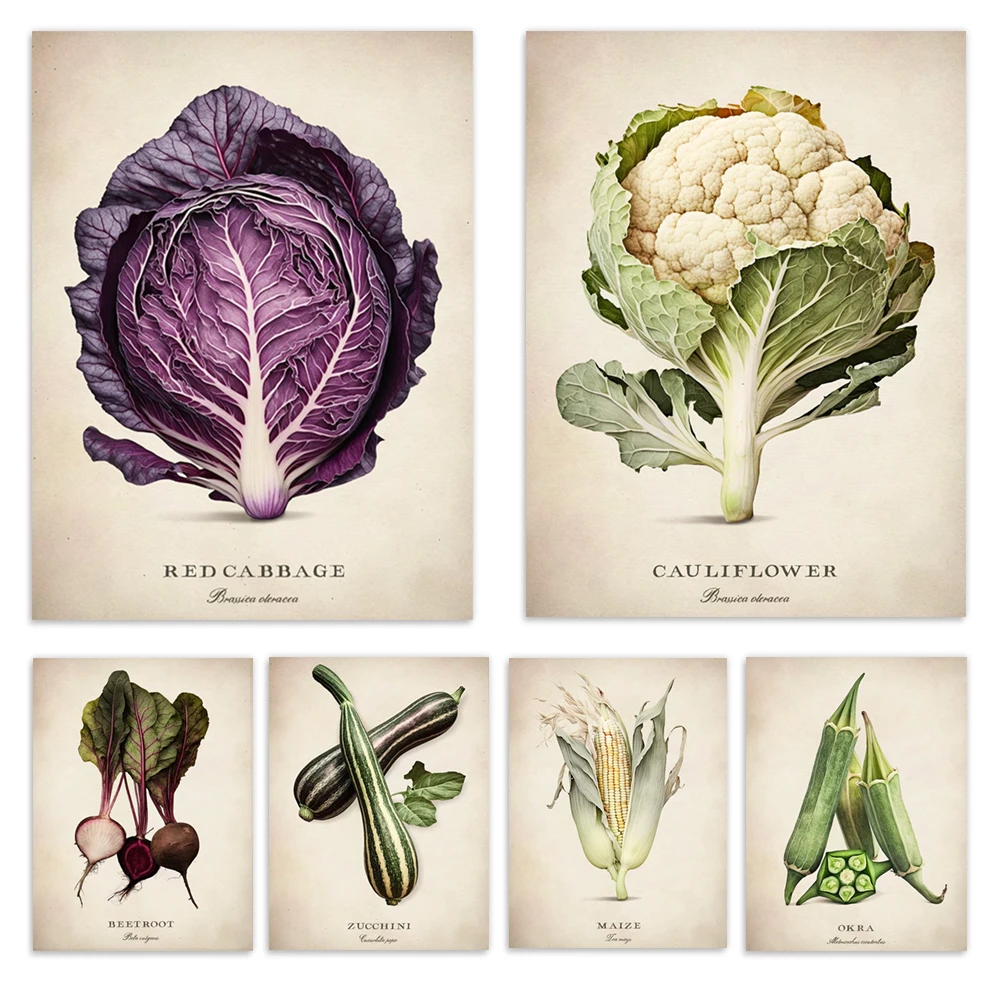 Vegetable art, cabbage, zucchini, onion, fennel, red cabbage, okra, peas, cauliflower, corn, endive kitchen decoration poster