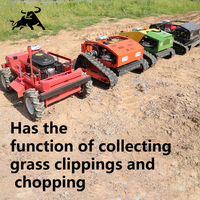Diesel engine Small Robot Grass Cutter Cutting Width  Remote Control Crawler Customized Lawn Mower