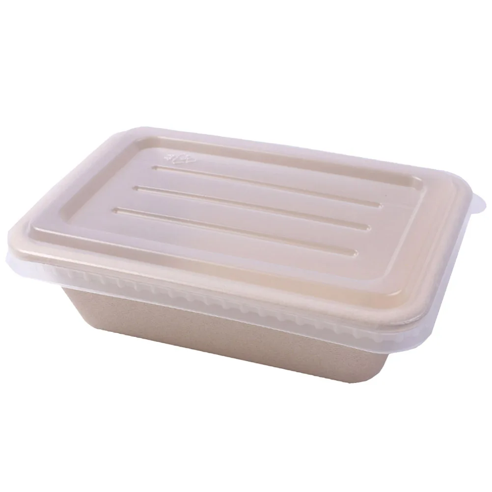 

10PCS Eco Friendly Meal Boxes Disposable Bento Lunch Boxes Food Containers Temperature Resistant Degradable Morning Glory Yellow