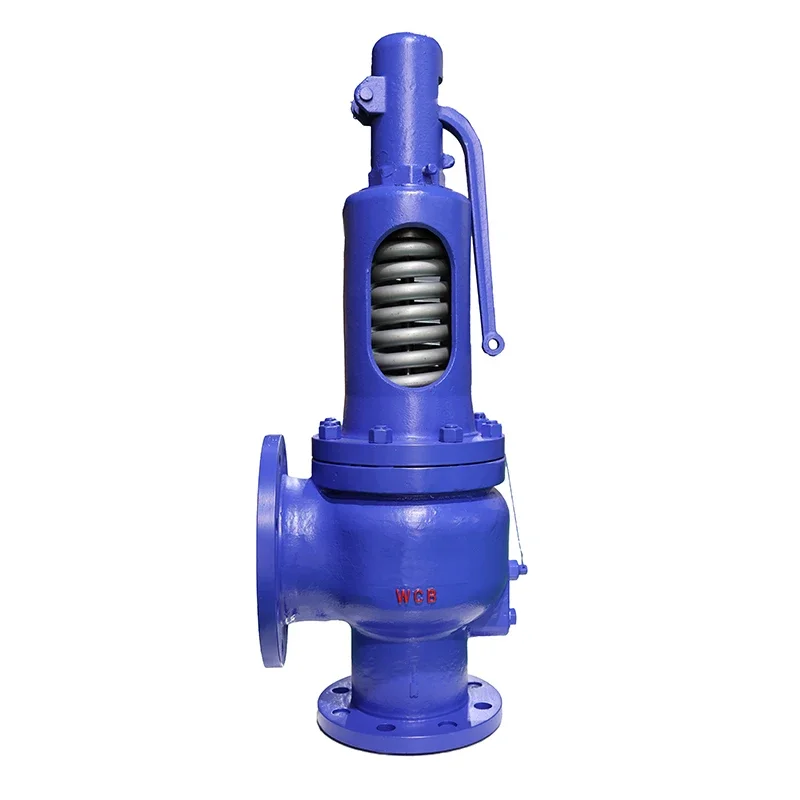 Custom Factory DIN Standard 1.0619 1.4404 Safety Valve Carbon Steel Stainless Steel Pressure Relief Valve DN100/150