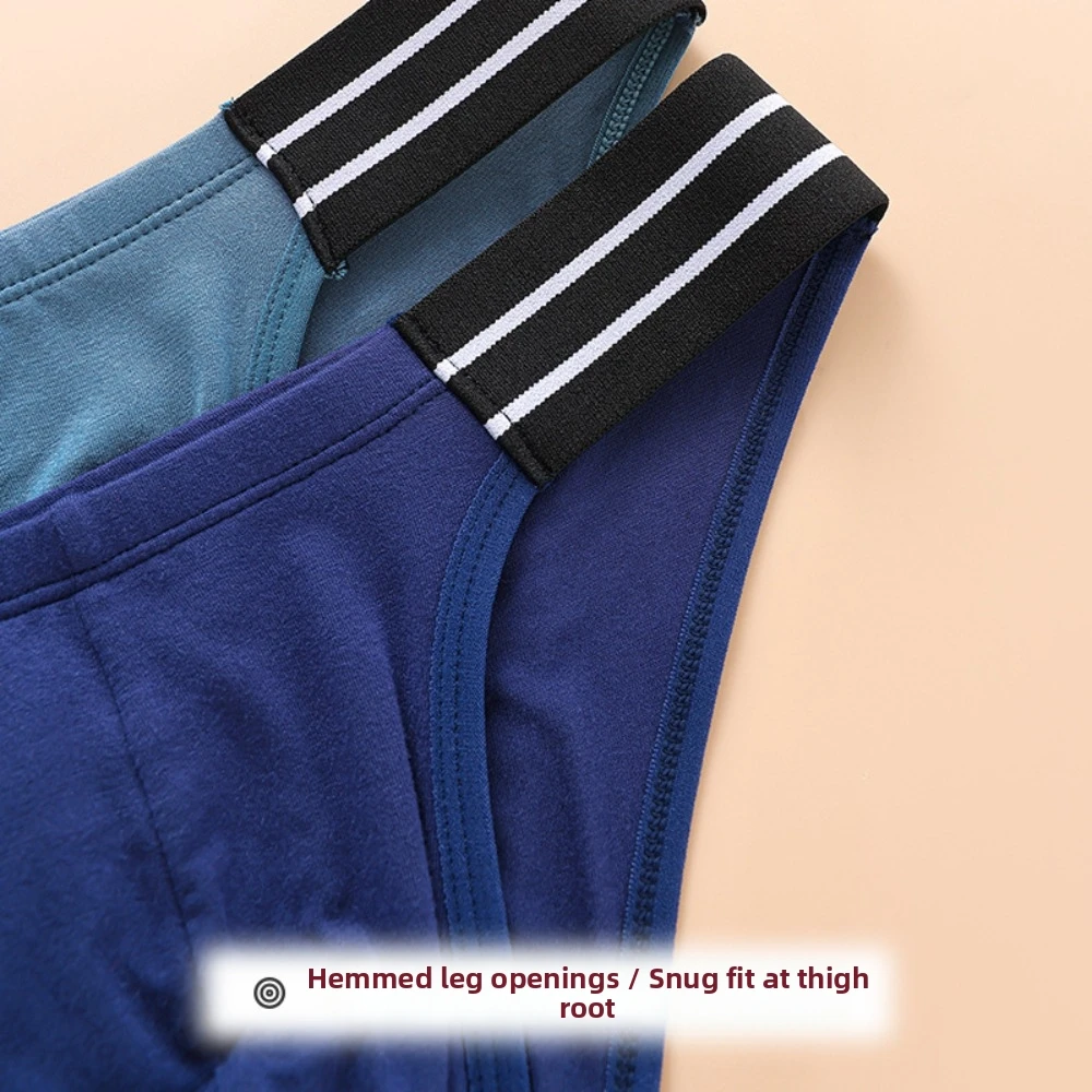 Underpants Lingerie Men's Triangle Panties Stripe Mid Waist Men Thin Briefs Large Size Breathable Underwear for Men Male
