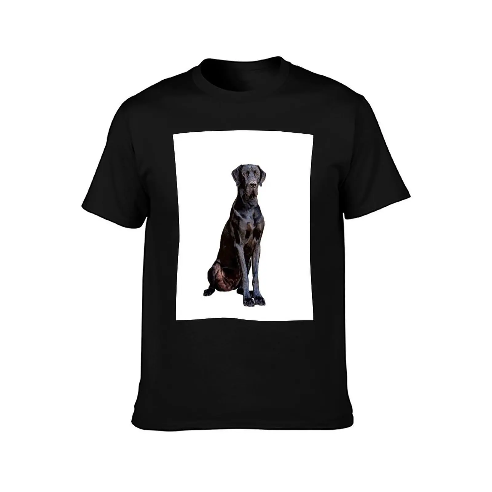Great Dane Stunning Black Dog of Elegance T-Shirt Summer Casual Cotton Tee Oversized Streetwear Tops Vintage Graphic Print