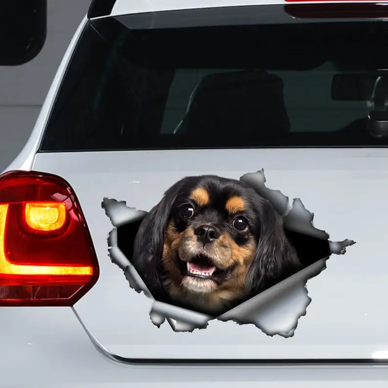 Black and brown Cavalier King car decal, cavalier King Charles car magnet, pet decal