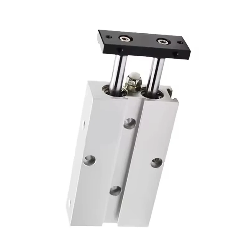 TN Pneumatic Cylinder Long Stroke 250 300 350 400 450 500 Magnetic Type Dual Axis Double Rod Cylinder 10/16/20/25/32/40