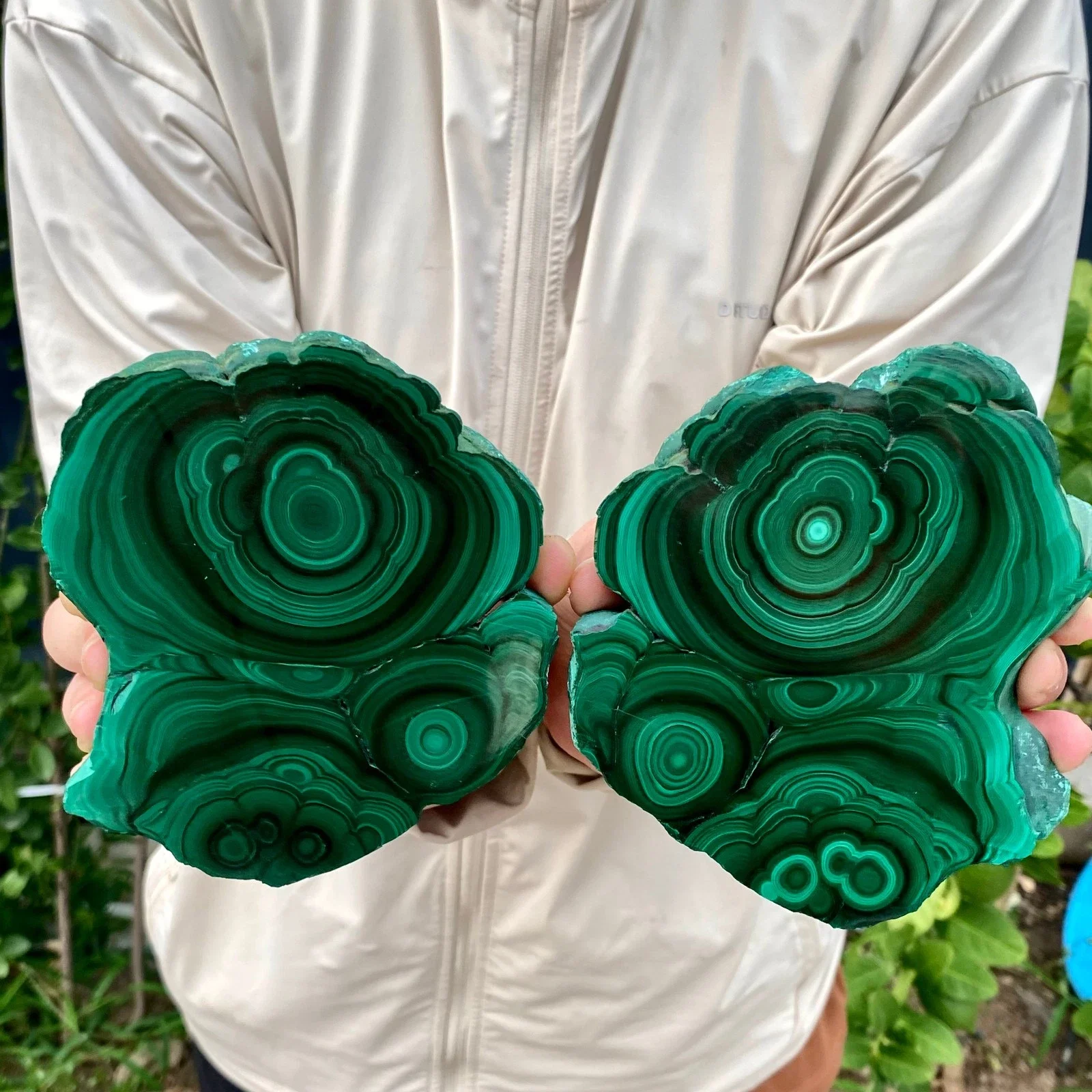 A Pair Natural Malachite Flakes,Quartz Crystal Green Peacock Flakes, Mineral, Spiritual Energy, Therapeutic ,Free stent