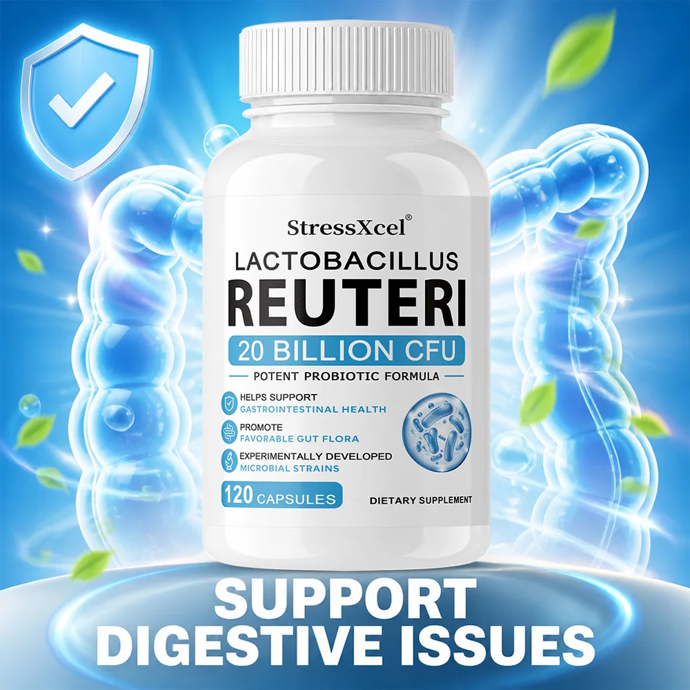 

Lactobacillus Probiotics 20 Billion CFU L Reuteri Probiotics Intestinal Health Support - 120 Capsules