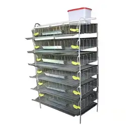 H Quail Cage Brooder Cage for Laying Hens 6 Floors Automatically Cleaned Manure Breeding Laying Cage Poultry Farm Equipment