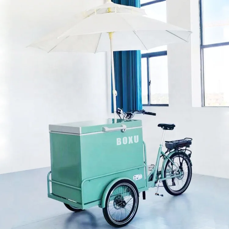 

Carrying Cargo Electric Bike Front Loading Food Delivery 3 Wheels Refrigerator Pedal Cargo Bike Ice Cream With Awning