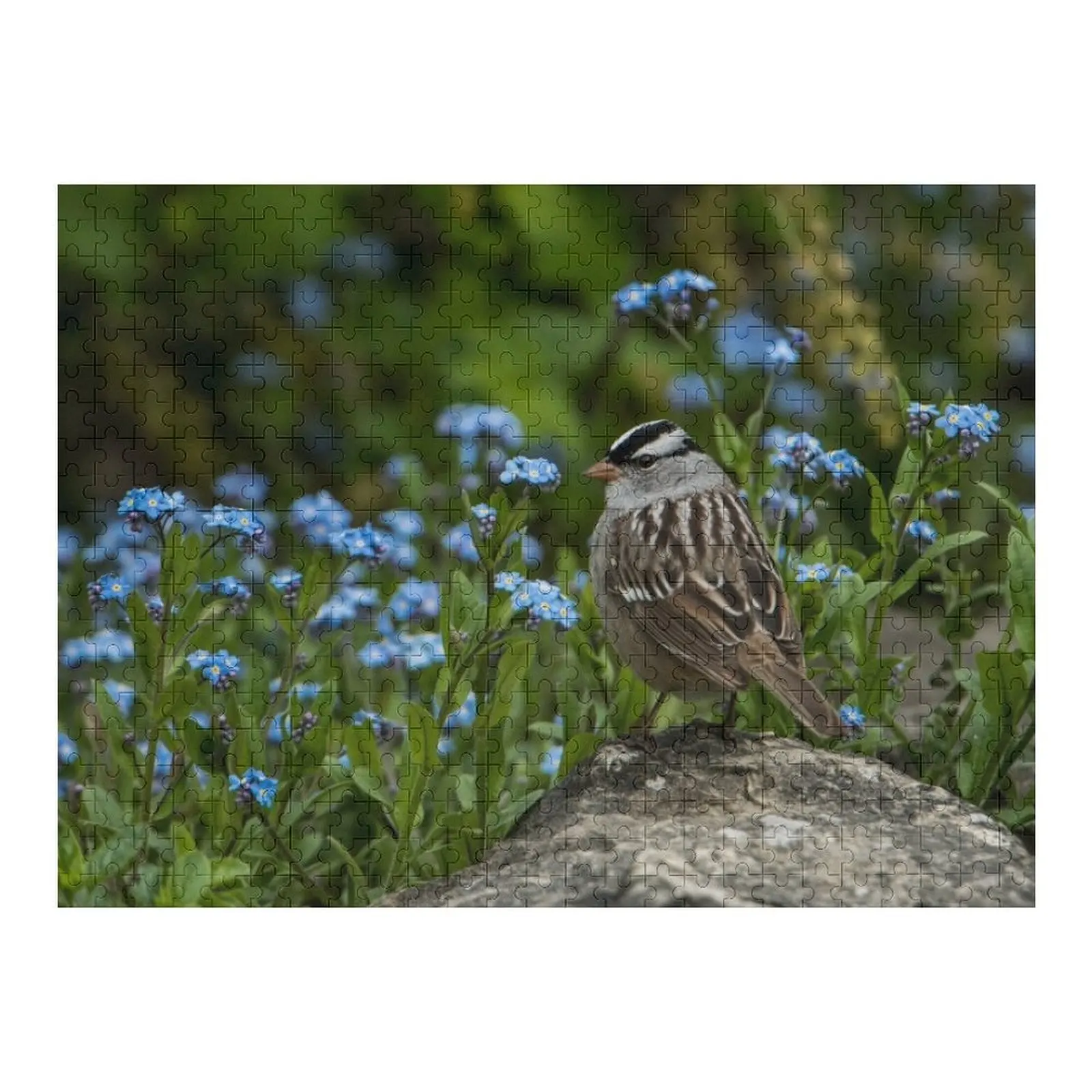 

White Crowned Sparrow Jigsaw Puzzle Anime Novel Toys For Children 2022 Puzzle