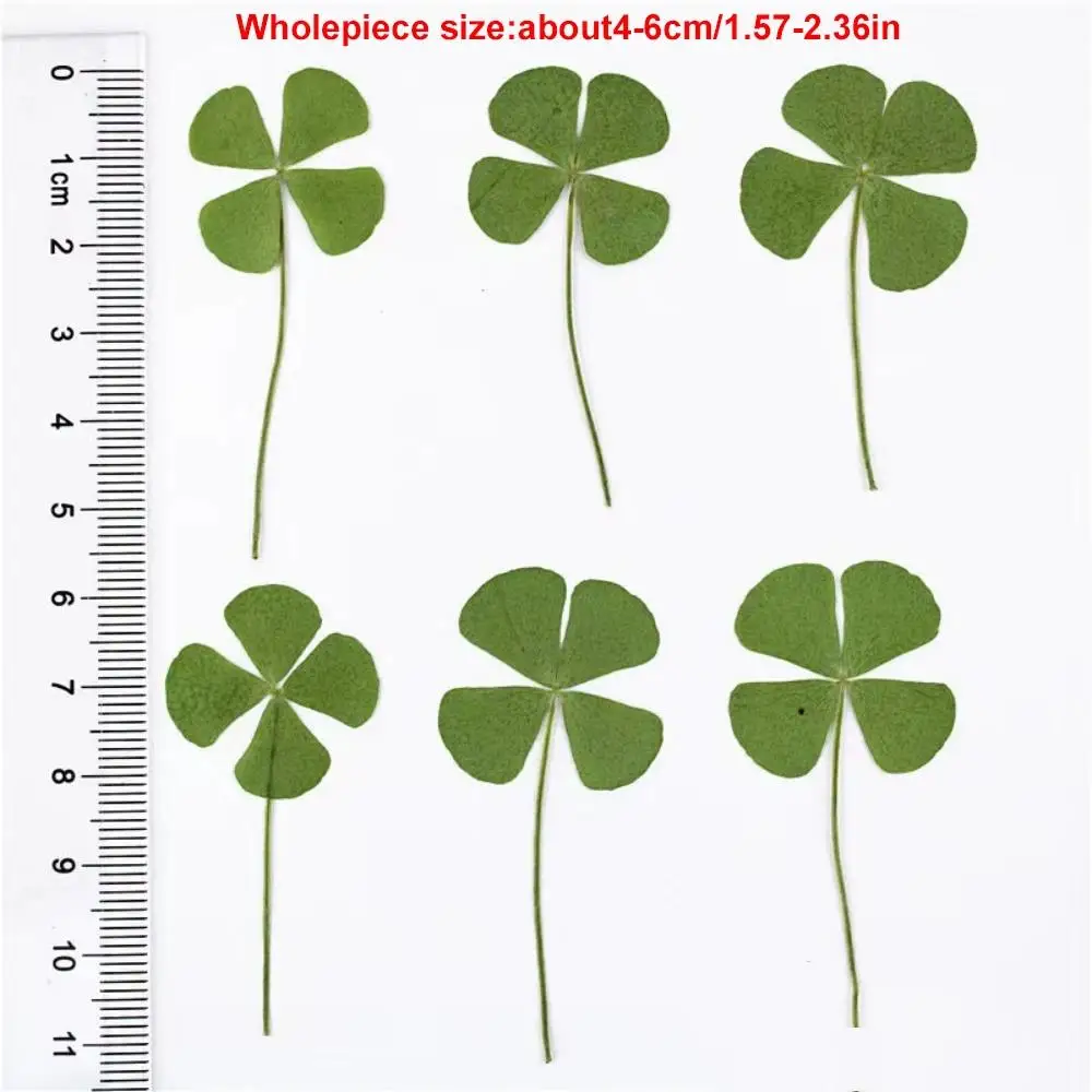 Picture 7: 1-10Pcs Four Leaf Clover Bookmarks Lucky Clover Notebook Journal Decoration For Novel Book Notebook Journal Decoration Supplies