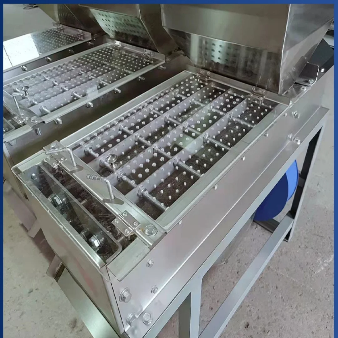 Commercial Nuts Red Coat Remover, Professional Peanut Skin Removing Equipment