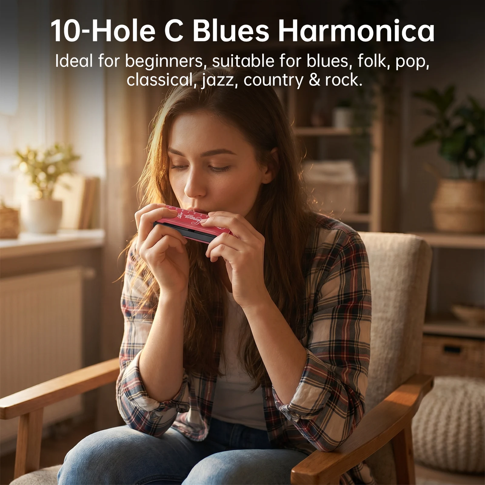 Harmonika Blues 10 Lubang 10 N - Harmonica 10 Hole ulasan dan harga