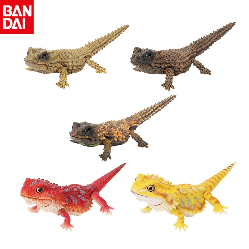 Bandai\'s Original Genuine Biological Large Illustrated Book Lizard Gecko Simulation Animal Movable Figure Collection HolidayGift