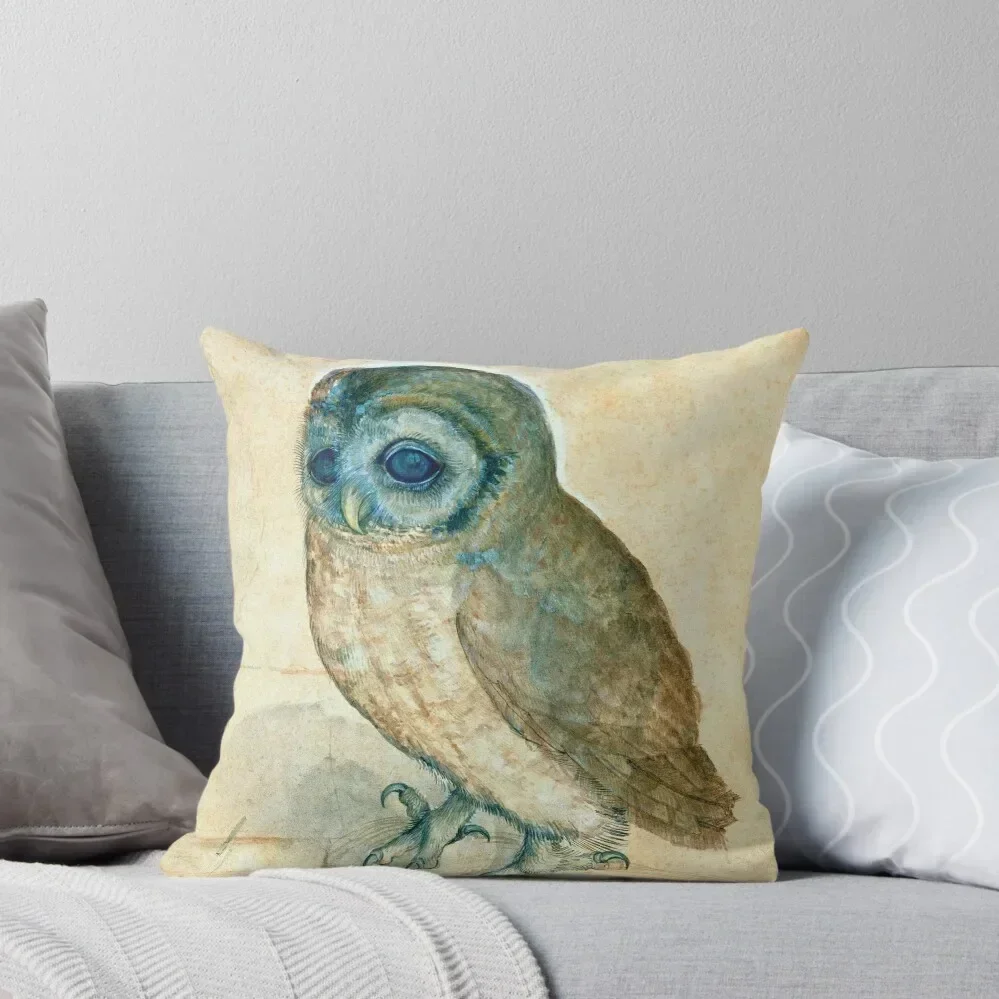 Albrecht Dürer Little Owl Throw Pillow Pillowcases Bed Cushions New year pillow