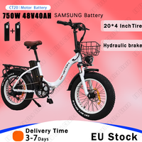 E Bike Folding 750W Powerful Motor 48v40Ah Lithium Battery Electric Bike Hydraulic Brake 20*4.0 Inch Fat Tire Electric Bicycle