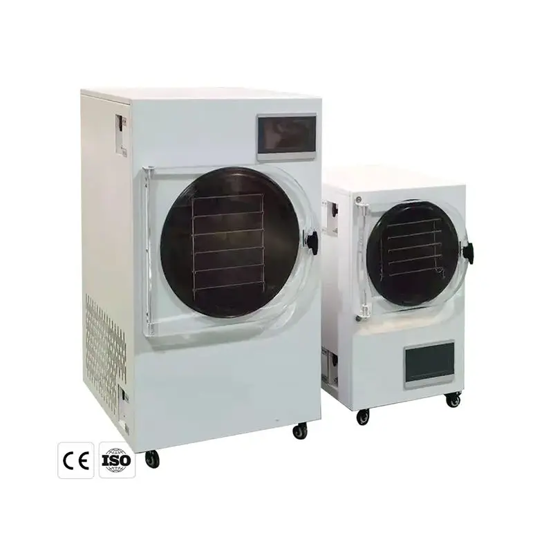 Fast Delivery Mini Food Vacuum Freeze Drying Machine/Vacuum Freeze Dryer