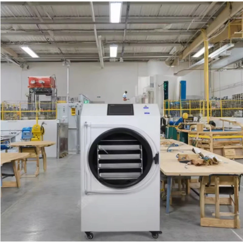 Food Vacuum Freeze Drying Machine Food Lyophilizer Freeze Dryer China