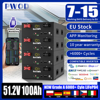 6000+ Cycle 48V 100AhLiFePO4  Battery Pack 51.2V 5120Wh 16S 100A Smart BMS RS485/CAN APP Monitor For Home Solar Inverter Storage