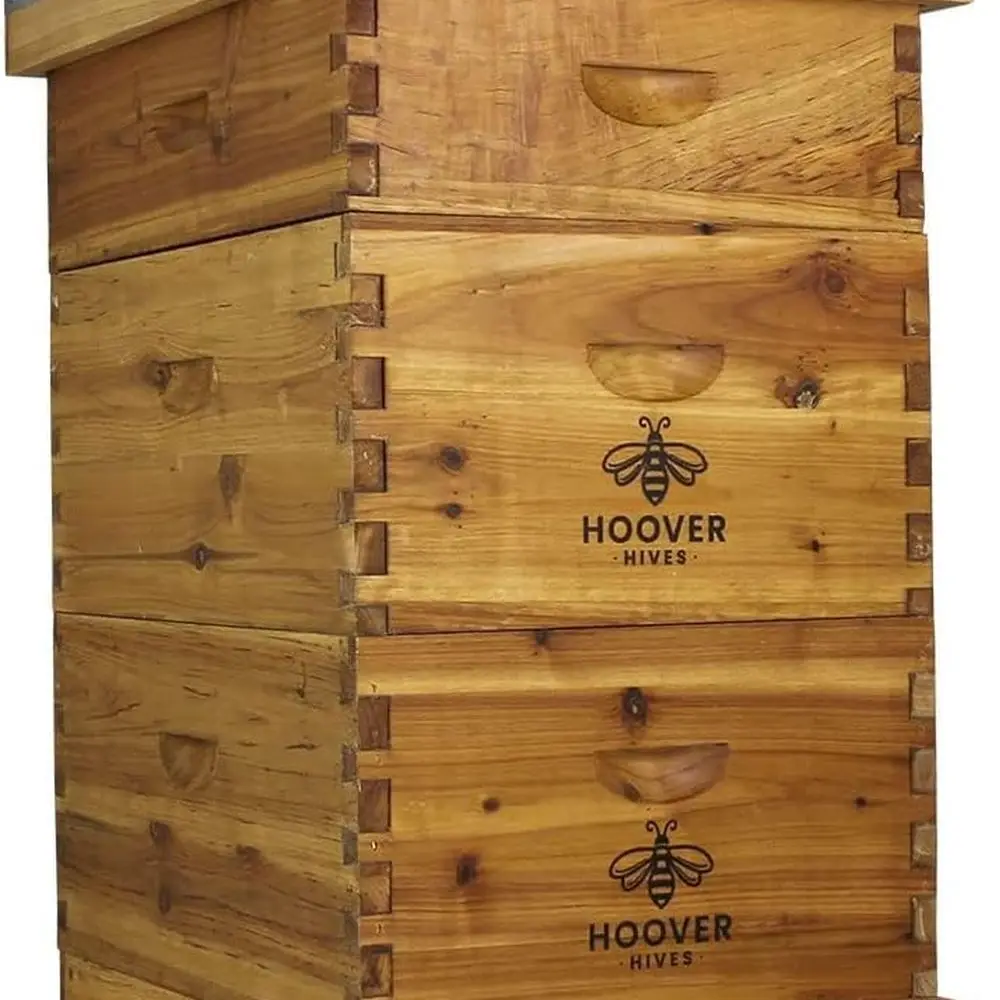 

Beekeeping Starter Kit: 2 Deep and 1 Medium Box Set with 10 Wax-Coated Frames and Pre-Drilled Holes for Easy Assembly