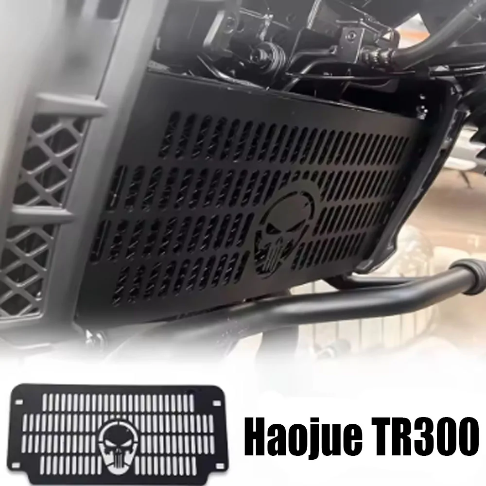 

Для защиты боковой крышки резервуара для воды Haojue Tr300 модифицированная сетка для резервуара для воды Tr300 защитная сетка двигателя