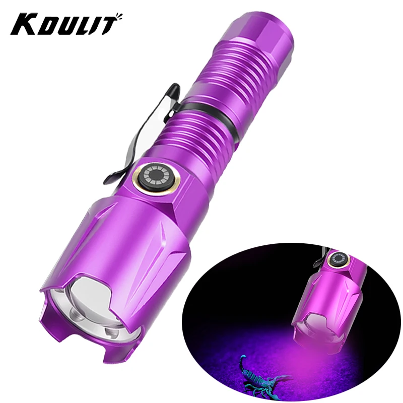 365nm/395nm UV Flashlight - Rechargeable Blacklight Torch for Pet Urine/Scorpions/Resin, Compact Handheld Detector (Waterproof)