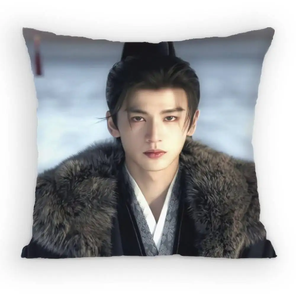 1pc Zhu Yu Xie Zheng Pillow Cover, Polyester 2D Double-Sided Print, Zhang Linghe Ancient Drama Character Art, C-Drama Fan Home &