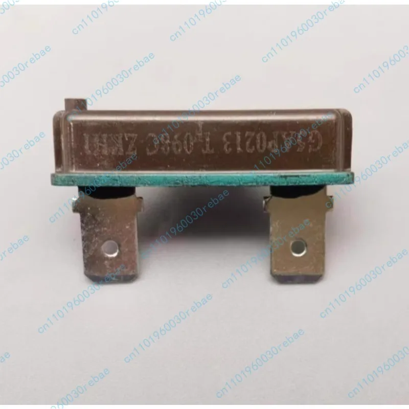 Encapsulated Fuse G5AP0213 TF098C Thermal Fuse