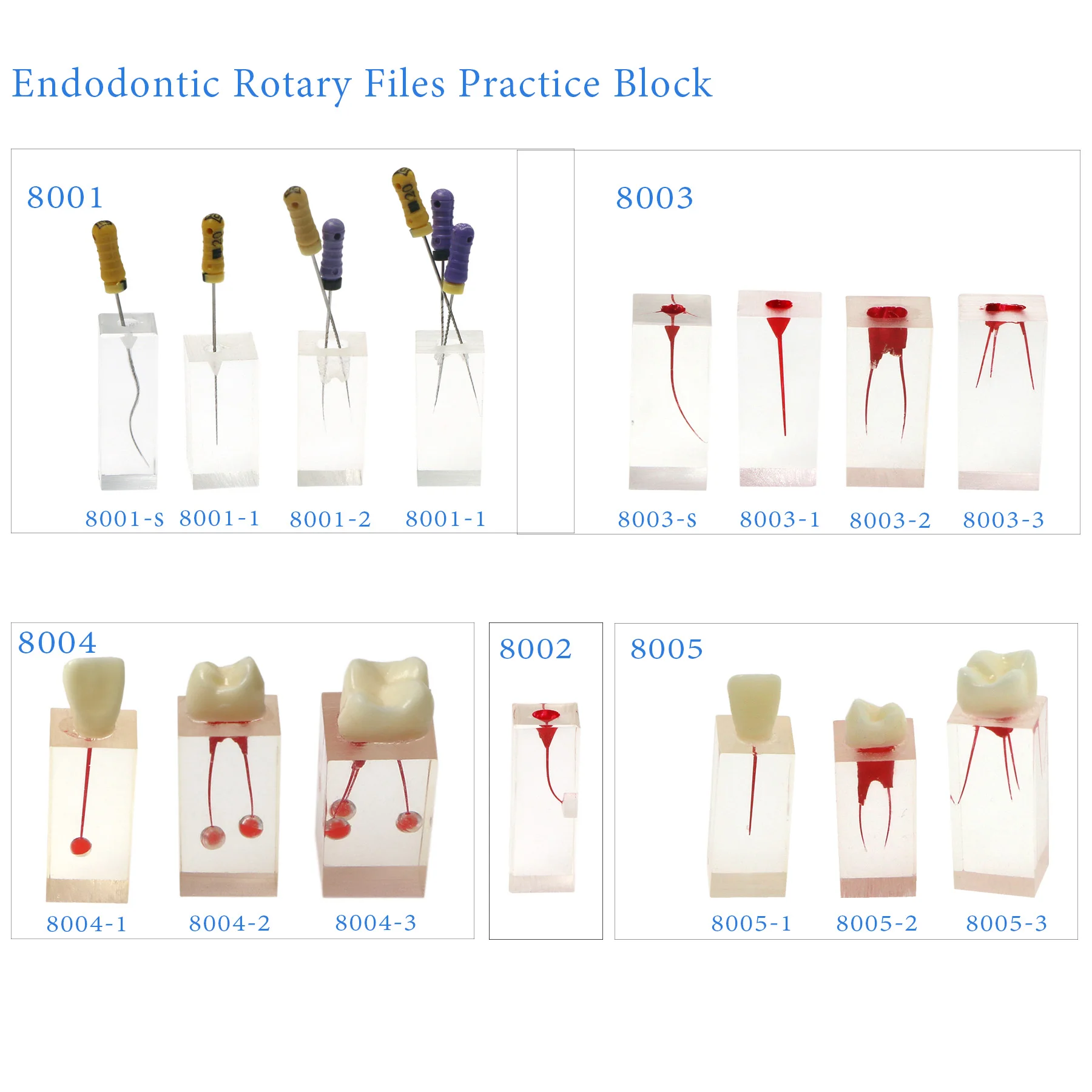 10Pcs Dental Endo Root Canals Endodontic Student Study Practice Block RCT Pulp Cavity Operation Model Transparent
