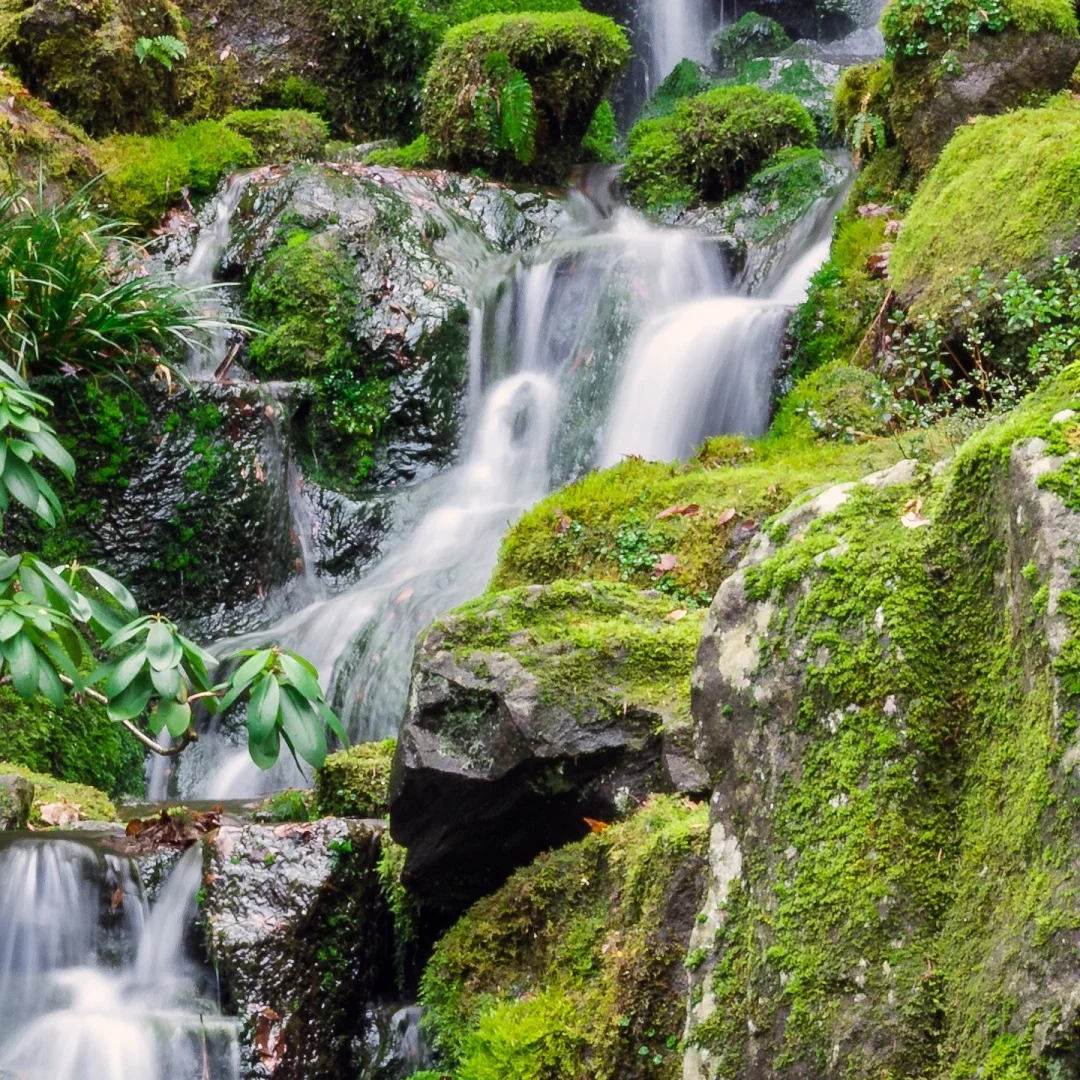 

Автомобильный радиоприемник Android для Toyota Land Cruiser 2016-2024 с DVD, мультимедийный стерео DSP-плеер, навигация, экран CarPlay, головное устройство